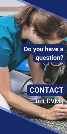 Do you have a question? Contact our DVMs