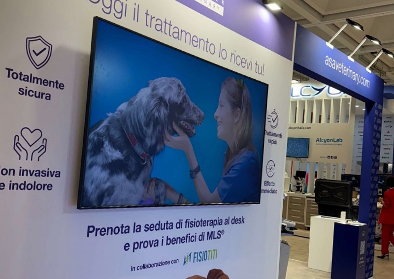 asaveterinary_laser_room_scivac.jpg