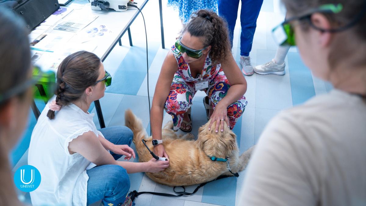 ccrp_milan_asa_laser_therapy.jpg