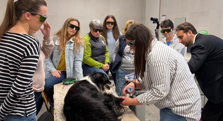m-vet_session_budapest_vet_university.jpg