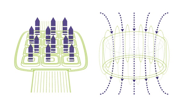 magneto_vet_campi_magnetici.jpg