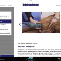 APP ASAVeterinary | animaux de compagnie