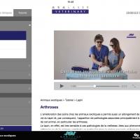 APP ASAVeterinary | Tutoriel espèces exotiques