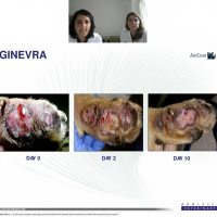 Webinar Laserterapia MLS & Dermatologia - Dr Zanna, Dr Munoz