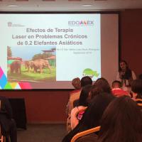 MLS in elefanti geriatrici, Dr. Maria Moch - CVDL 2019 Messico