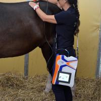 MLS Laser treatment for muscular stiffness on the back