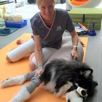 Dr. Jane McNae - “Paws in Motion”, Hong Kong
