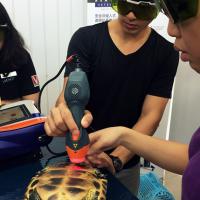 Terapia MLS laser per una tartaruga