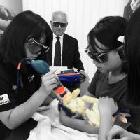 MLS Laser Therapy for rabbits
