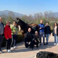 Entrenamiento de laserterapia para caballos - Brescia, Italia