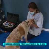 France5 | Le Mag de la Santé | MLS Laser Therapy