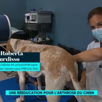 France5 | Le Mag de la Santé | Roberta Burdisso DVM