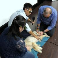 Practical session of MLS laser therapy treatment