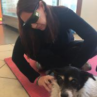 Schulung für die australische Tierärztin Dr. Jacqueline Reed in Vicenza