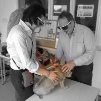 Training MLS Laser Therapy to Celtic SMR - Blackpool, 2-3 July