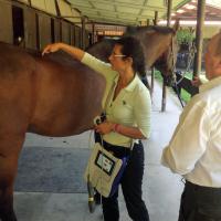  Training Laserterapia MLS Celtic SMR con la Dott.ssa Tatjana Falconi - Desenzano, 28 agosto 2014