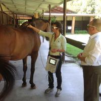  Training Laserterapia MLS Celtic SMR con la Dott.ssa Tatjana Falconi - Desenzano, 28 agosto 2014