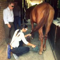  Training Laserterapia MLS Celtic SMR con la Dott.ssa Tatjana Falconi - Desenzano, 28 agosto 2014