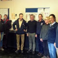 MLS® Laser Therapy training for equine sector