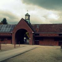 MLS laser training at the Barrettston Equine Clinic