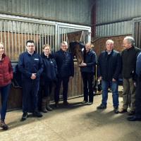 Formation Thérapie Laser MLS pour chevaux, Cherry Lane – Londres