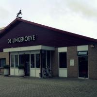 Holanda: formación MLS® en  la clínica Lingehoeve Diergeneeskunde