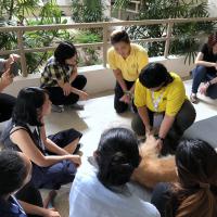 KUVIC 2019 (Hua Hin, Thailand) - Hands-On-Sitzung