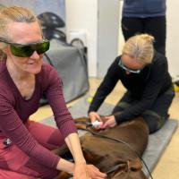 MVET laser training @ Physiodog Academy