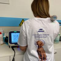 Rosangela Bontempo - M-VET laser
