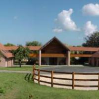 Centre d’Imagerie et de Recherche sur les Affections Locomotrices Equines (CIRALE) 