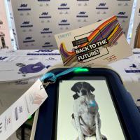 M-VET laser device at UNISVET National Congress 2022