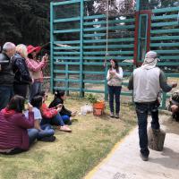 MLS Laser Therapy Training - Zoo Parque Ecologico Zacango, Mexico