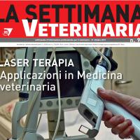 La settimana Veterinaria: intervista al dr. Squarzoni