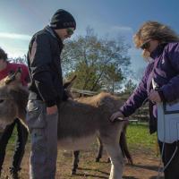 Cristina Murray - veterinarian for equines