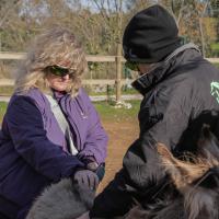 Cristina Murray - veterinarian for equines