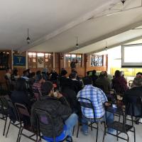 Curso teórico-práctico «Terapia láser en veterinaria», México