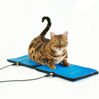 Easy Qs Vet - Applicateur Flexa Vet