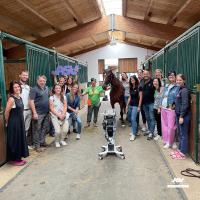 MLS-Lasertherapie-Workshop für Pferde - Circolo Ippico l'Écurie