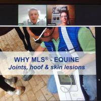 Webinar Equine MLS for Joints, Hoof, Skin Lesions