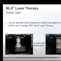 Webinar Equine MLS Laser for Tendinitis 2020