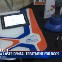 FOX40 | MLS® for pets dental care