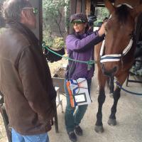 Vicenza: a training course for Belgian Veterinarian and Professor Patrick Herbots