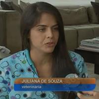 Dr. Juliana de Souza, specialist in veterinary acupuncture and physiotherapy