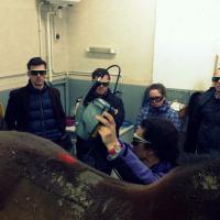 Dispositivo laser classe 4 Mphi Equine per cavalli