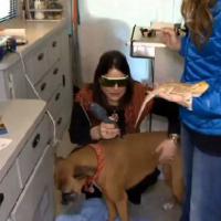 MLS Laser Therapy on CBS Sacramento