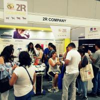 MLS®-Lasertherapie Workshop während der LAVC 2019 - Lima, Peru