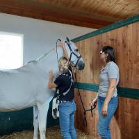 MLS Laser Therapy training with MVET laser - Circolo Ippico l'Écurie