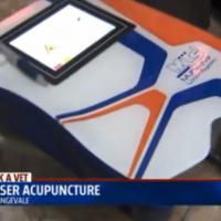 Dispositivo Mphi Vet Orange para la acupuntura láser con MLS