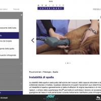 APP ASAVeterinary | Patologie del cane