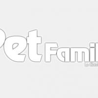 PetFamily